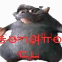 xitiz64