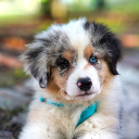maverick_magic14
