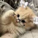 stellsxluvs