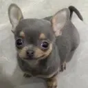 kpasamamiii122 avatar