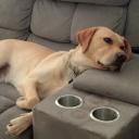 pies_jb's profile picture