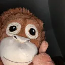 jamieqrz