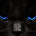 leadarras.io avatar