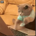 cyberhdll