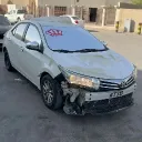 zj.m