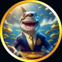 finthesharkxrpl