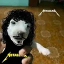 salvado4512_36509 avatar