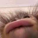 jaddin0851_43345's Avatar