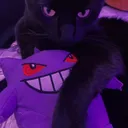 qdgk