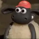 swaggysheep