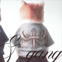 avatar ≽^• ˕ • ྀི≼