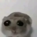 bienvenido_alacasadelossustos avatar