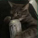 stefan20010355 avatar