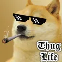 doge_in avatar