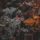 _sherrinford_