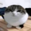 nicewazhed