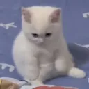 exescape.e