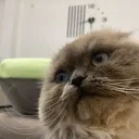 mrkai04