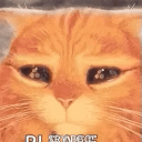 le_rt14