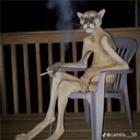 Discord Avatar