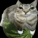 oi2q