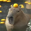 Аватар capybaraka_uwu