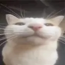 astralled avatar