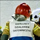 plegiusowaty