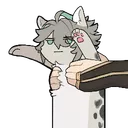 minnakitten