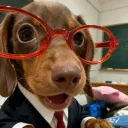 dogzinovo