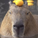 Profile icon of Noah
