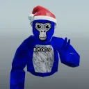 brodygtag