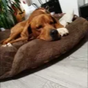 tonda_cz01