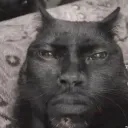 armando077433 avatar