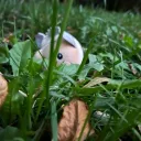 not_potato_anymore avatar