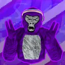 guest_is_cool