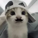 _kormek__44017