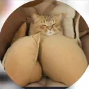 tugaeloi89