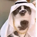 soyoliver0154 avatar