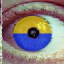 hjvt