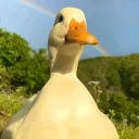 Аватар borivskyi