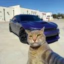 frenzoshazada