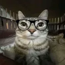 pebbles05126 avatar