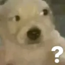 fish.fj_56926 avatar