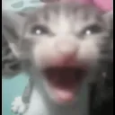 pabl98i9_72270 avatar