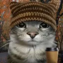 crazynivy12