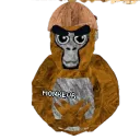 monkeychatttttt