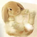candysprinklesbunni