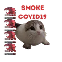 mitarute
