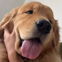 avatar Benzyl.locked